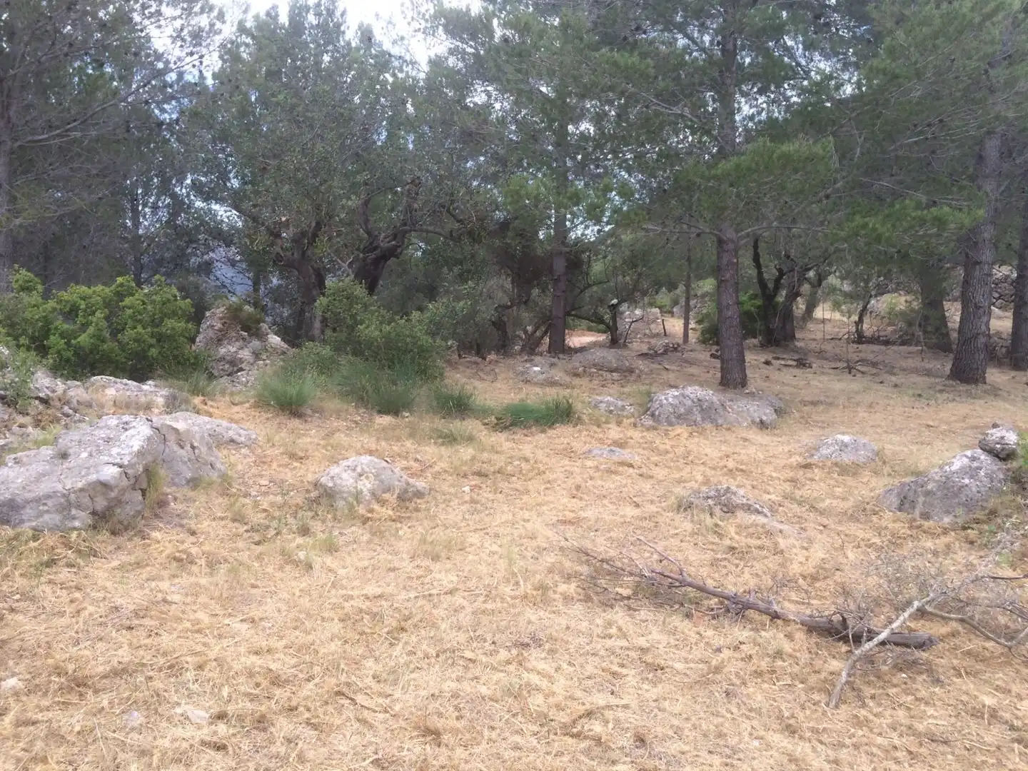 Terreny residencial en venda a La Vall de Laguar, imagen 7