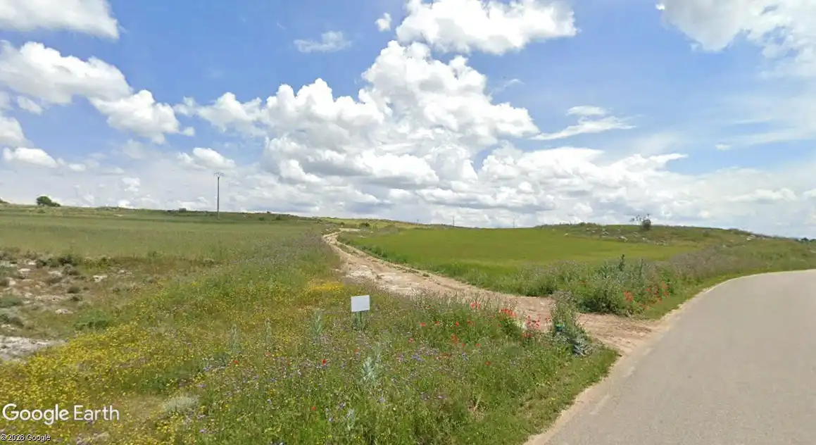 Terreno rustico in vendita a Driebes, imagen 3