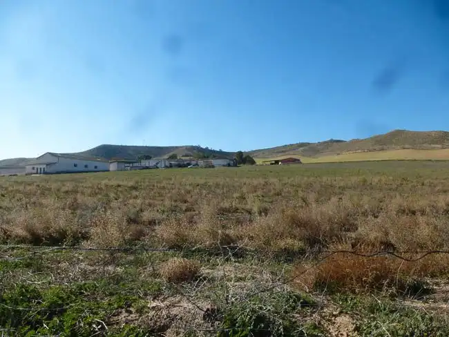 Terreny en venda en La Puebla de Montalbán