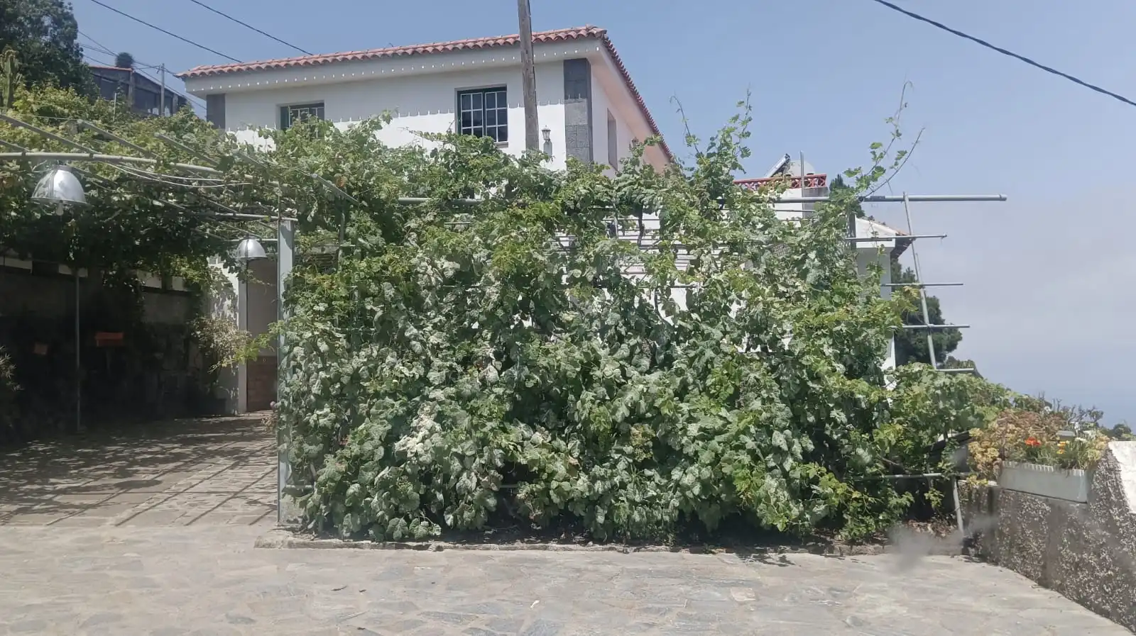 Maison avec terrasse à vendre à La Vega - El Amparo - Cueva del Viento, imagen 24