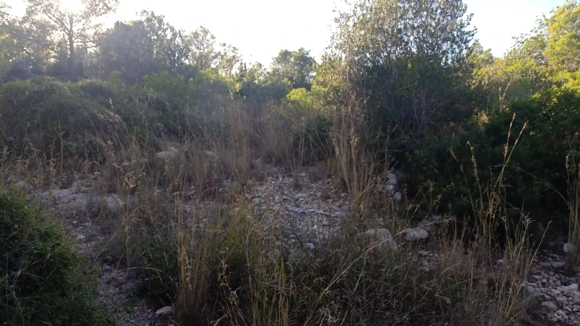 Terreno en venta en El Vendrell