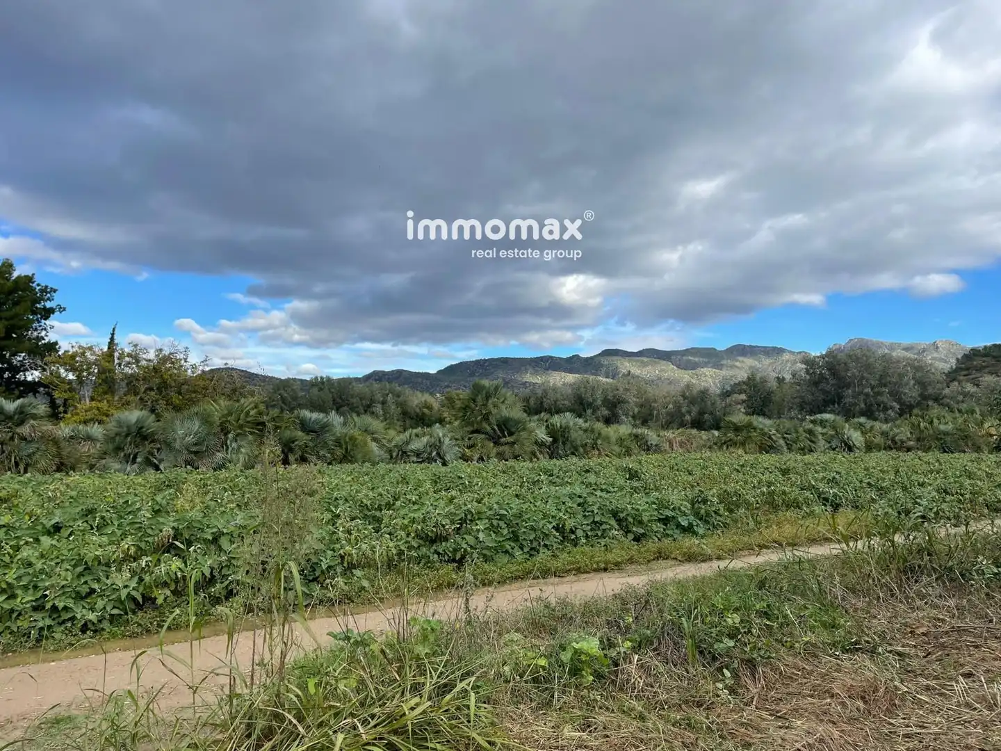 Terrain résidentiel à vendre à 4, imagen 26