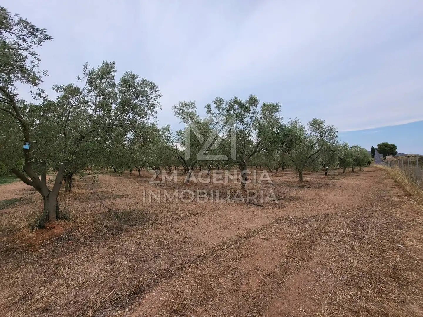 Terreno rústico en venta en Pueblo, imagen 3