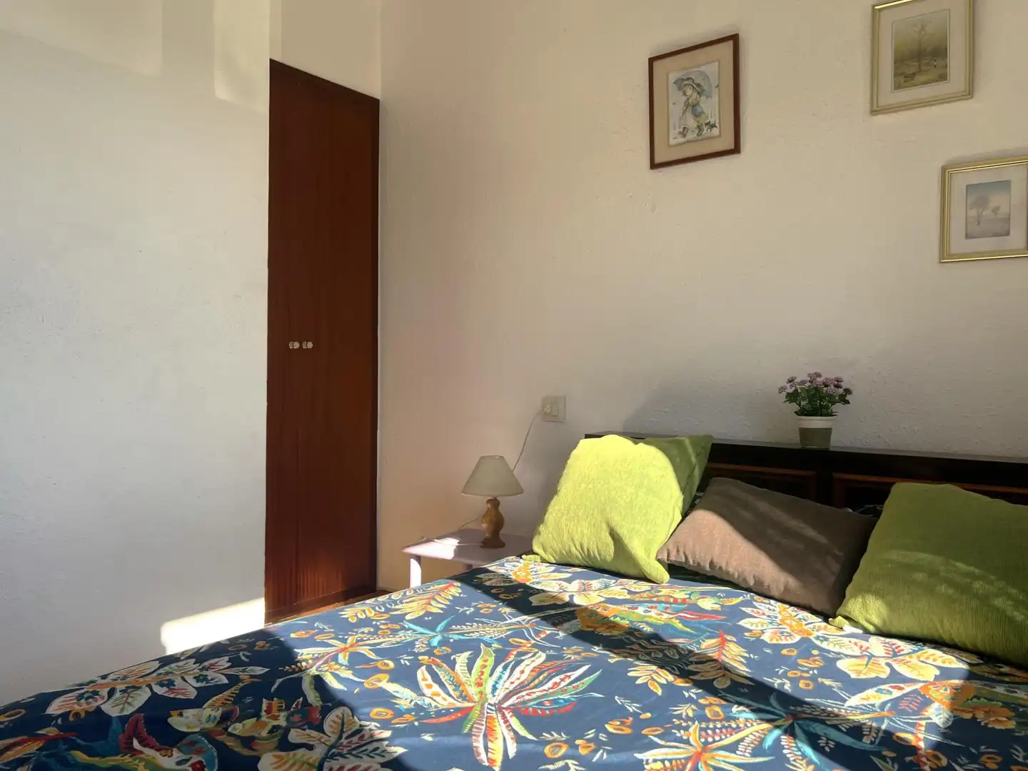 Reihenhaus zum Verkauf in Sant Pere Pescador, imagen 34