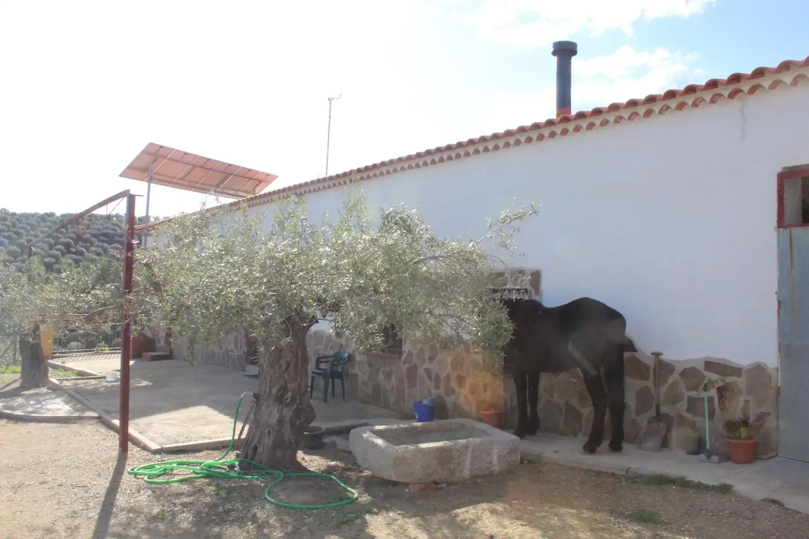 Finca rústica en venda en Alcaracejos amb Traster i Piscina