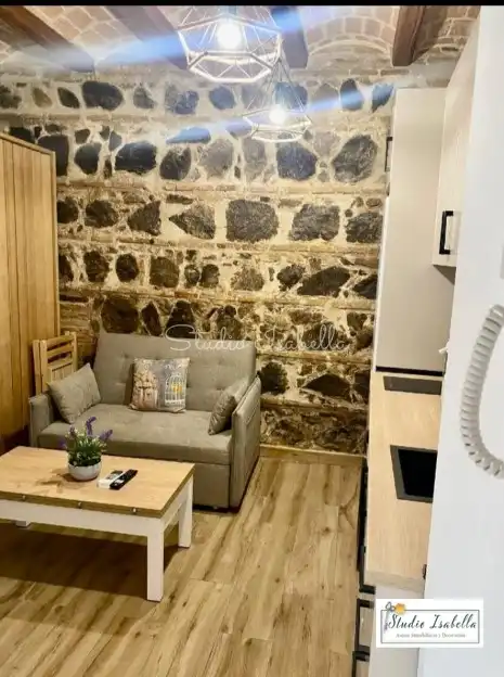 Living room of Lofts for rent in Toledo  with Air Conditioner, Heating and Furnished