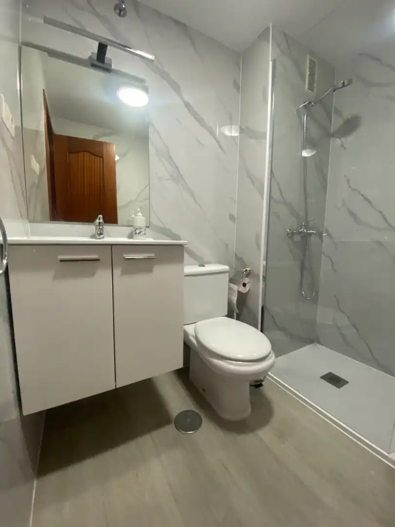 Bathroom of Apartments for rent in Málaga  with Air Conditioner, Terrace and Furnished