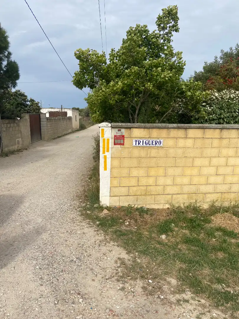 Terreny rústic en venda a Camino Triguero 13