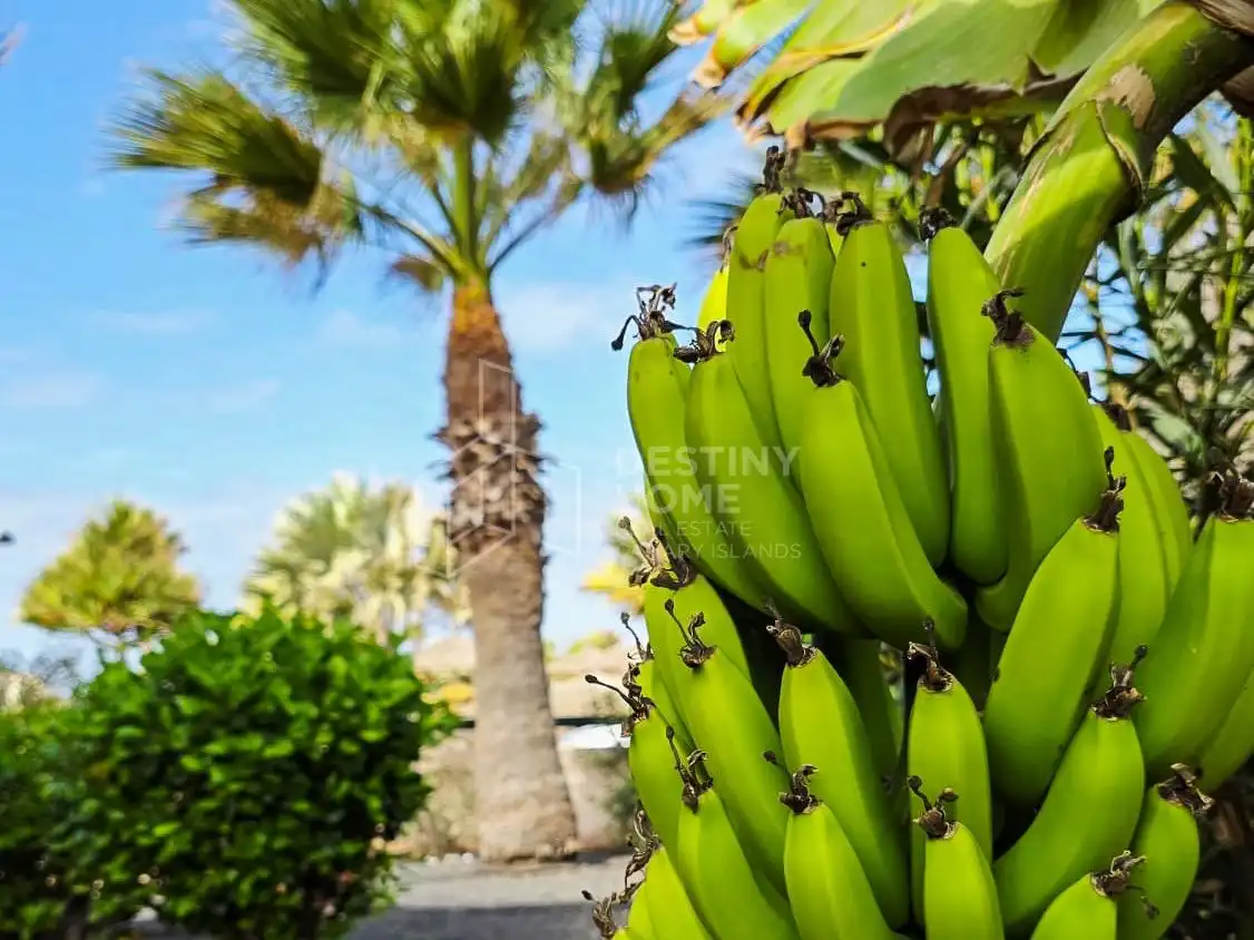 Exterior view of Houses for sale in La Oliva  with Storage room, Furnished and Community pool