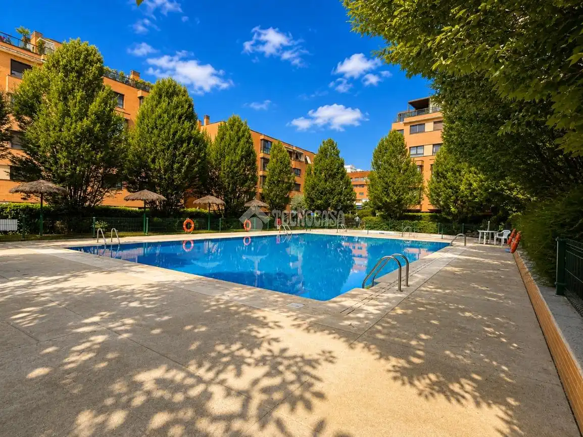 Swimming pool of Flat for sale in Madrid  with Air Conditioner and Community pool