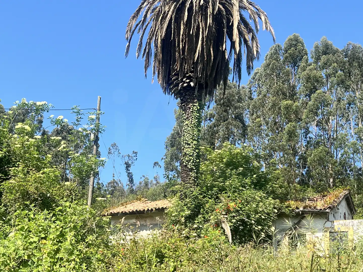 Detached homes for sale in Castrillón