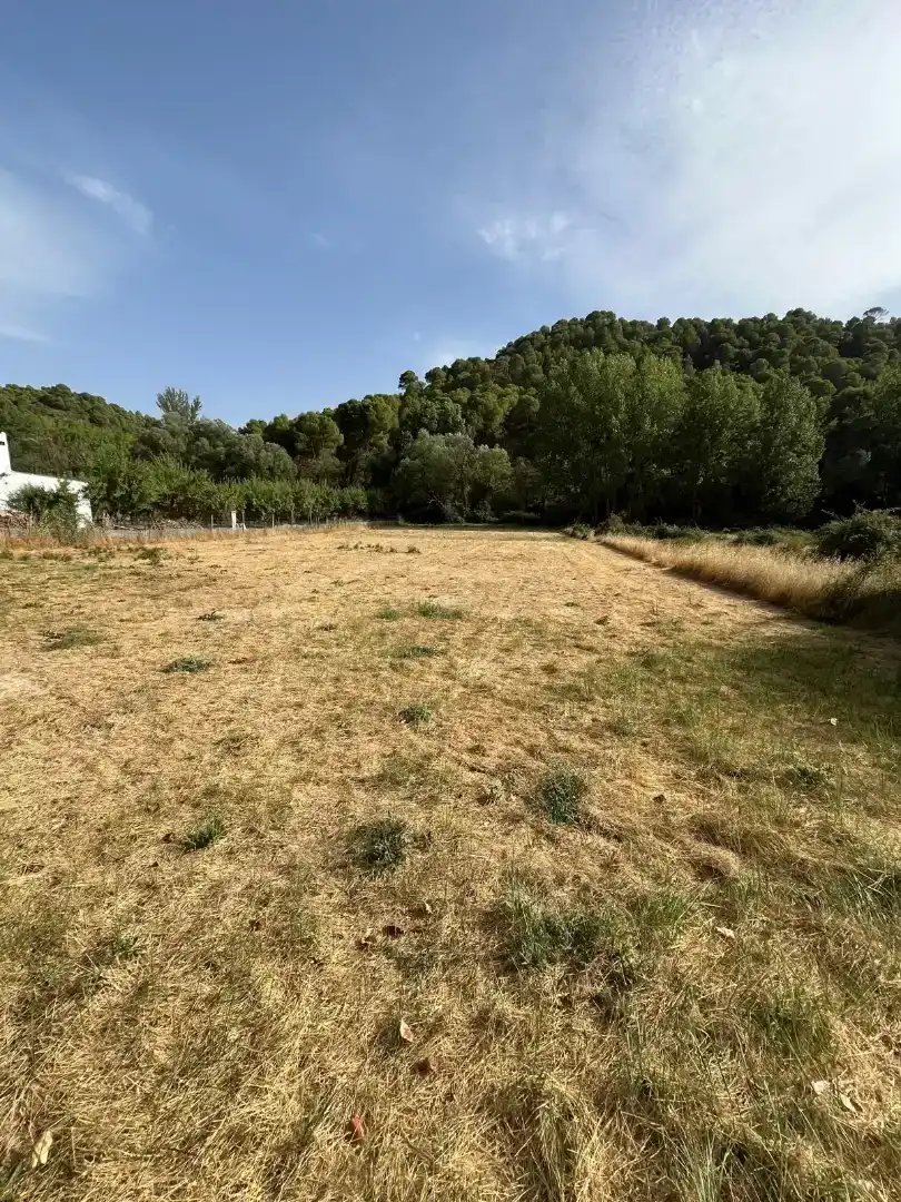 Finca rústica en venda en Jayena, Granada
