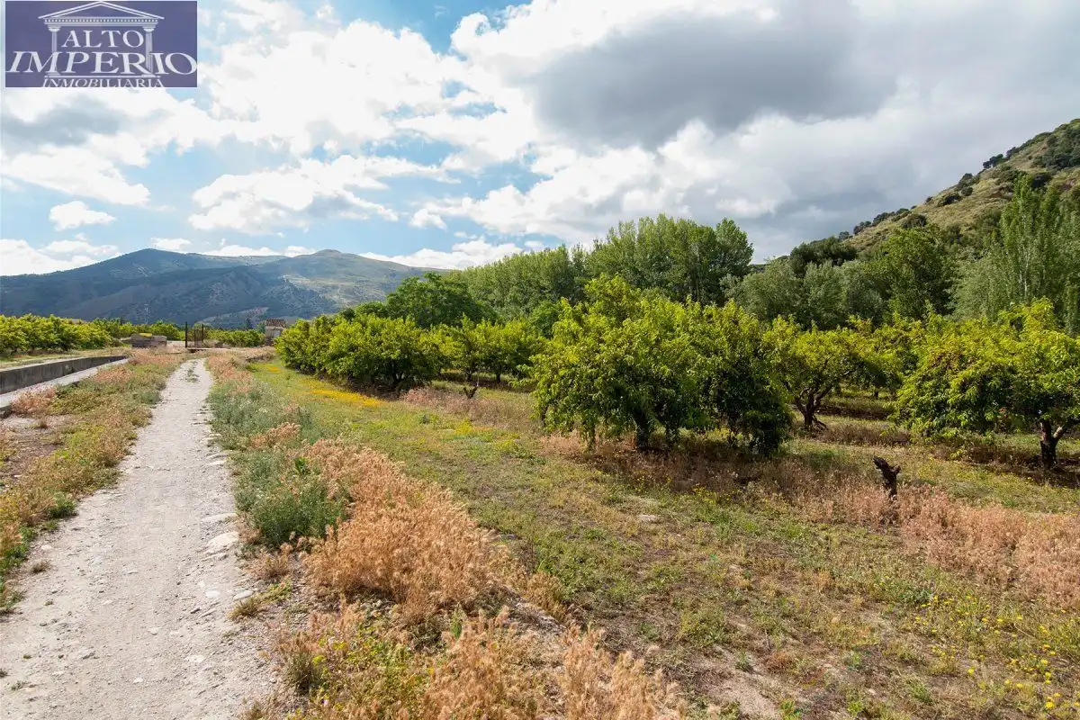 Finca rústica en venta en Granada