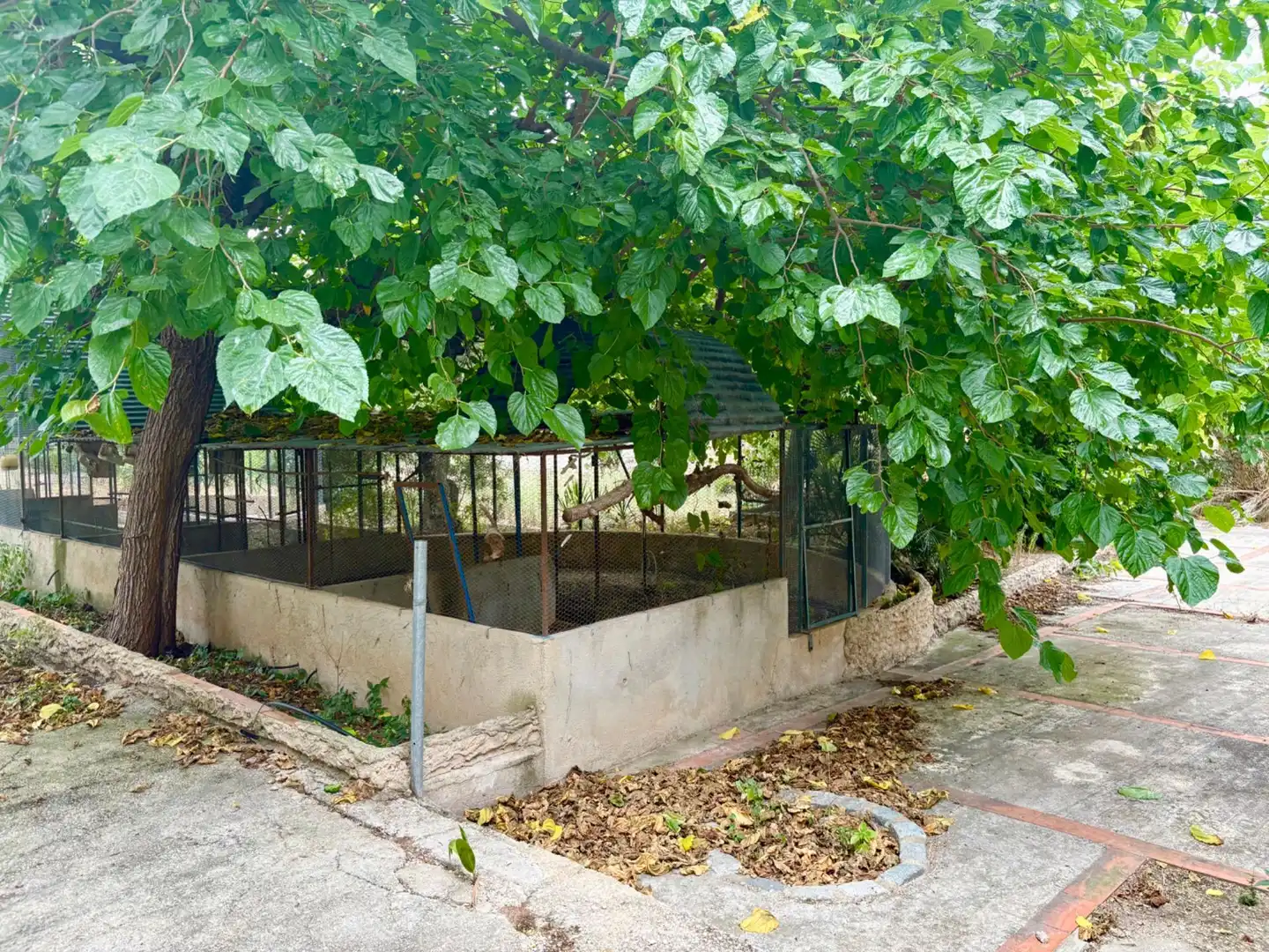 Landhaus mit Garten zum Verkauf in Jesús - Els Reguers, imagen 20