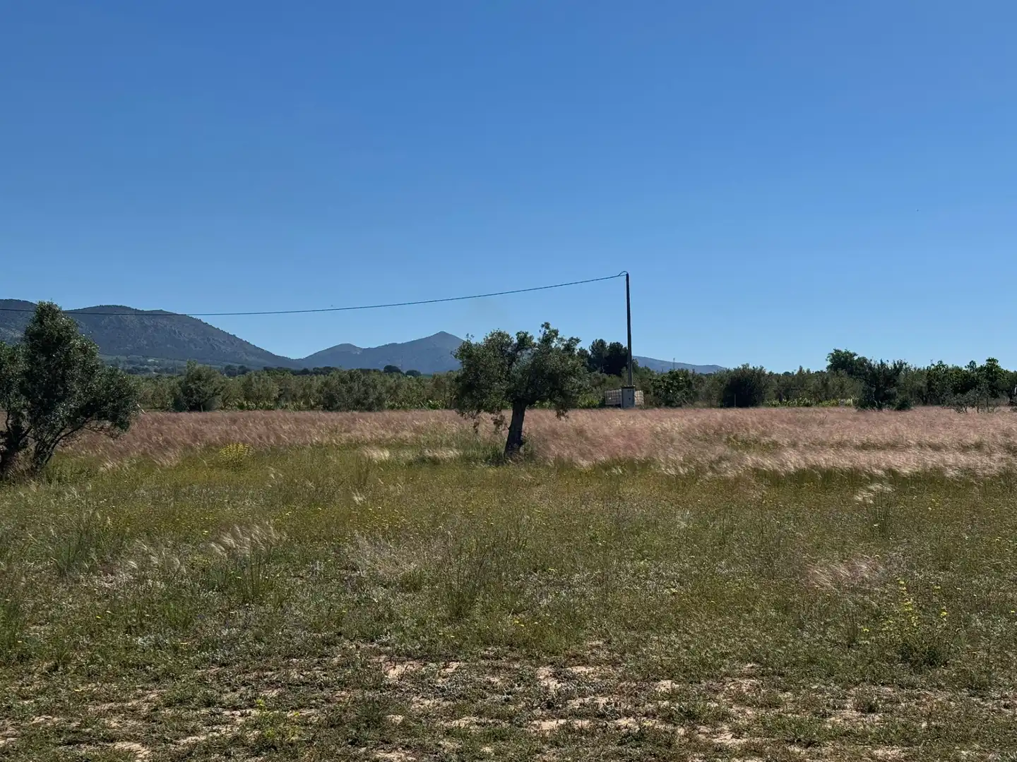 Terreny rústic en venda a Onil, imagen 10