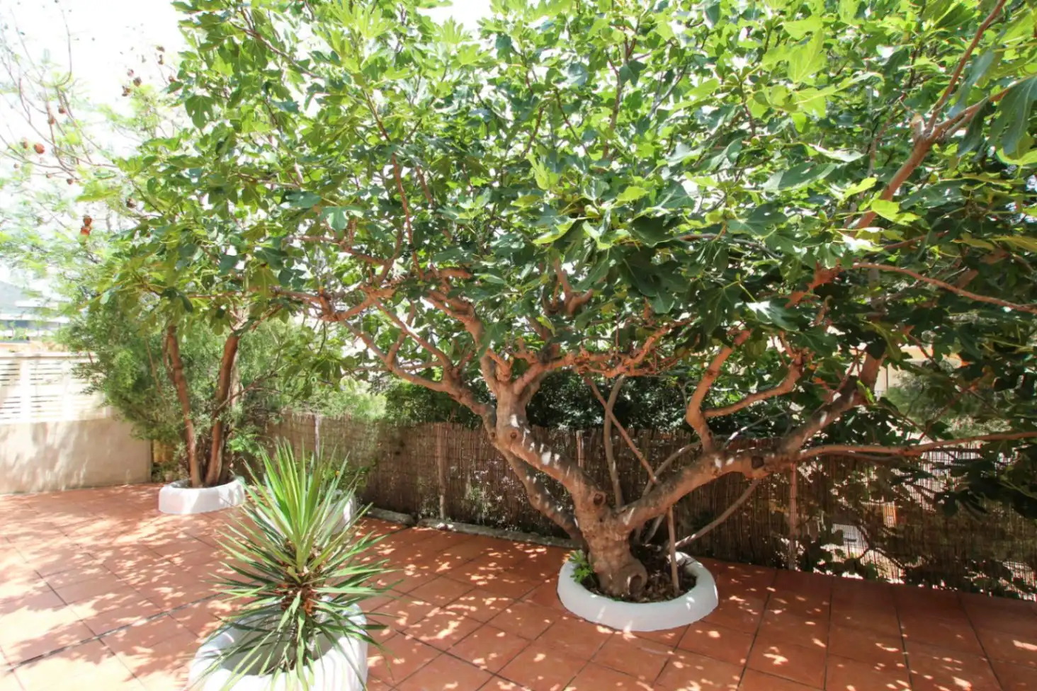 Chalet con piscina en venta en Manzanera - Tosal, imagen 24