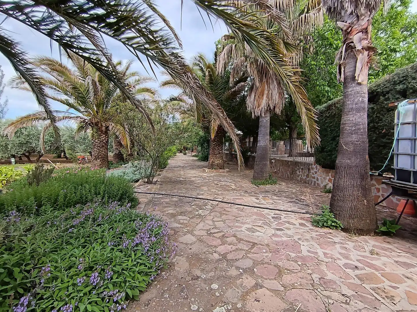 Jardín de Casa o chalet en venta en Brazatortas con Aire acondicionado, Calefacción y Jardín privado