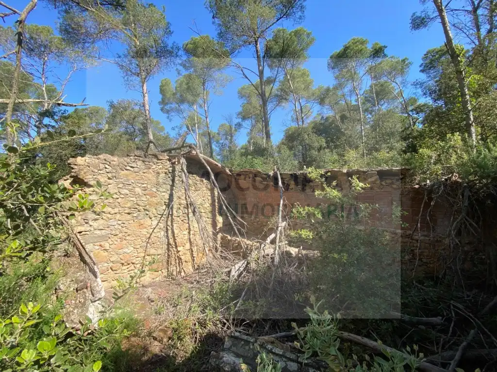 Land for sale in Pals