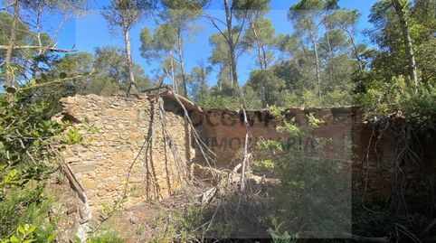 Photo 3 of Land for sale in Poligono Pineda Pals -ampliacio-, Platja de Pals, Pals
