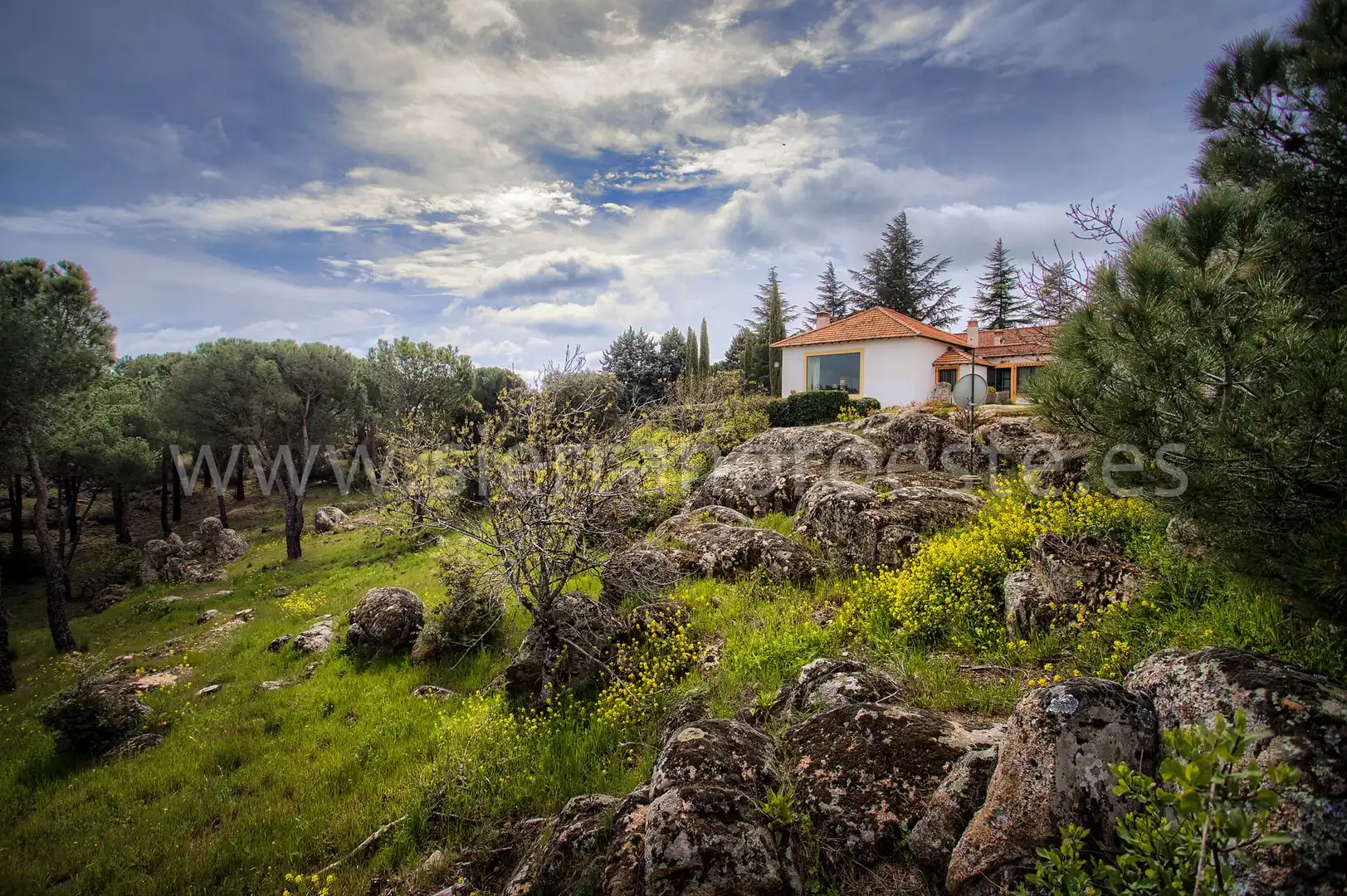 Casa o chalet en venta en Puerto de Galapagar - Las Cuestas