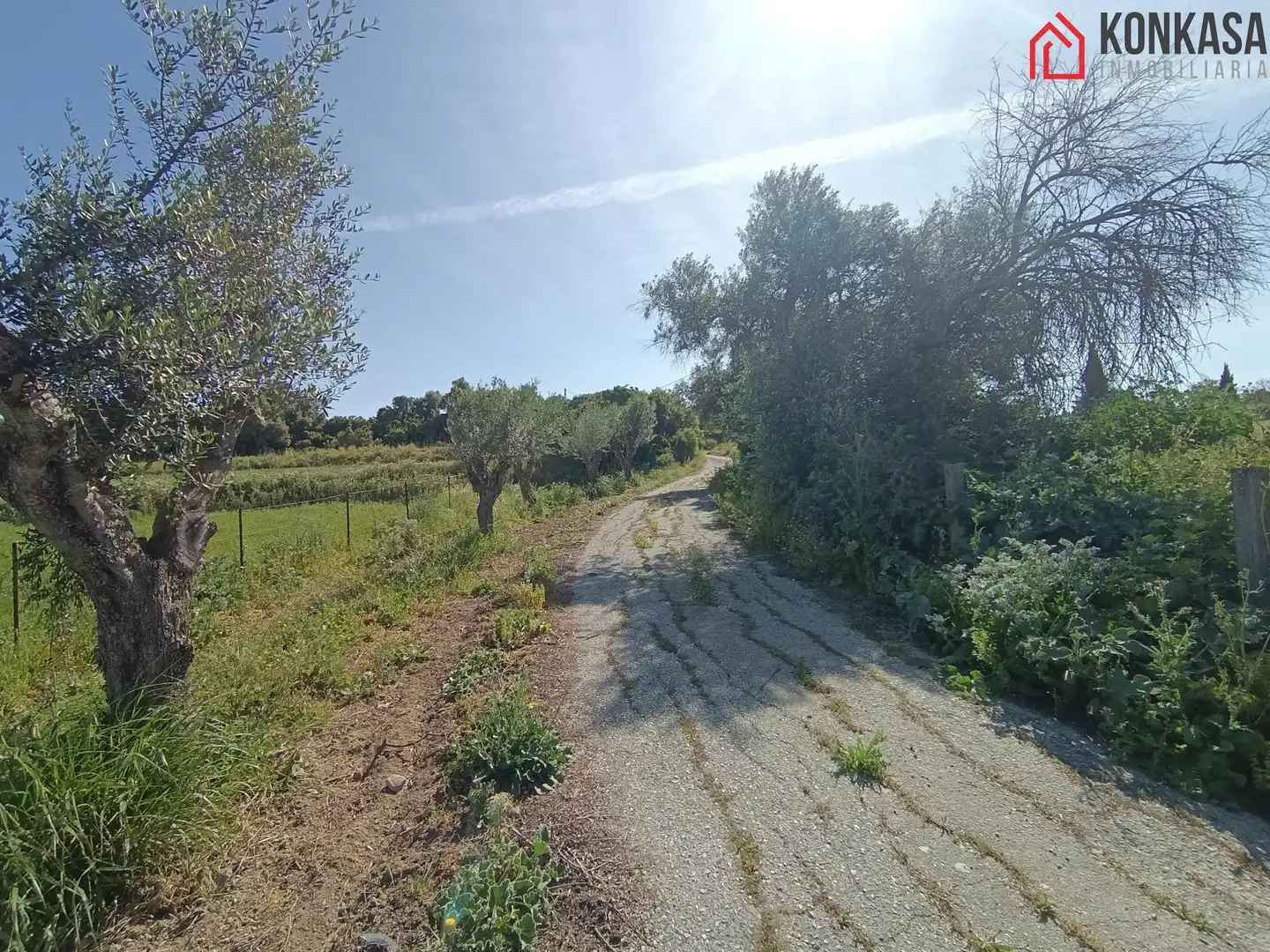 Casa rústica en venda a Arcos de la Frontera, imagen 23