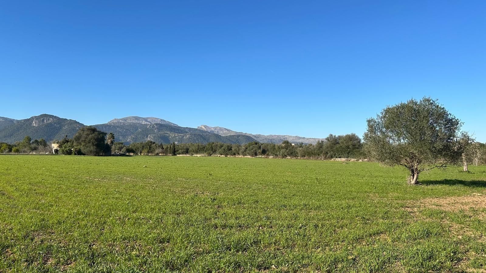 Residential for sale in Selva