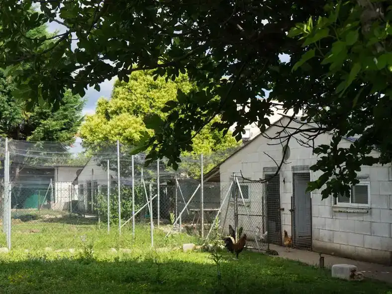 Jardí de Casa o xalet en venda en Ponferrada amb Piscina i Balcó