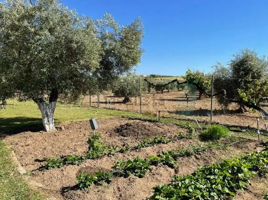 Garden of Houses for sale in Mengabril  with Private garden, Parquet flooring and Terrace