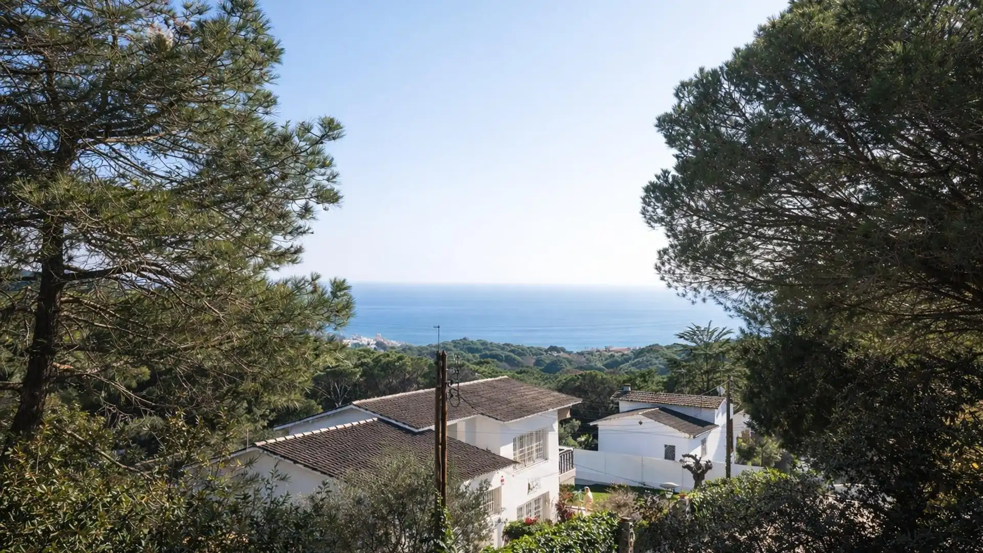 Vista exterior de Casa o chalet en venta en Sant Pol de Mar con Jardín privado