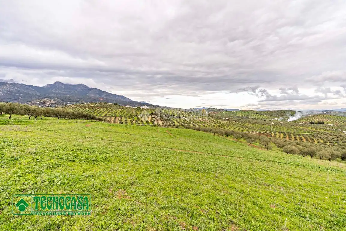 Rural land for sale in Alozaina, imagen 5