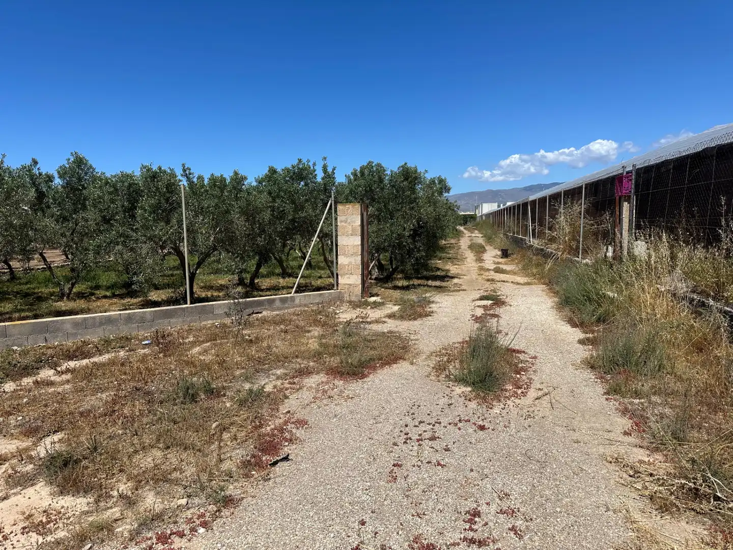 Finca rústica en venda en Níjar amb Moblat