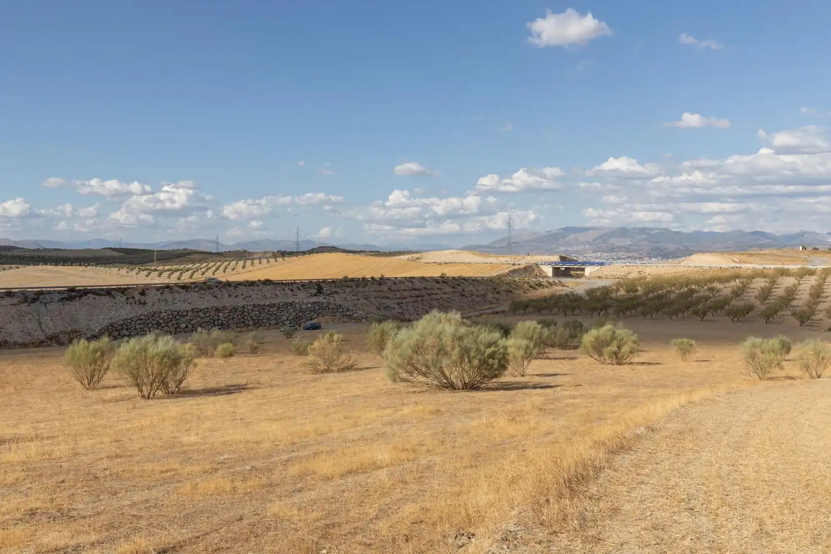 Terreno rustico in vendita a Polígono Polígono 6 Parcela 17 CAÑADA ESPARRAGAL. VILLA D 6, imagen 11