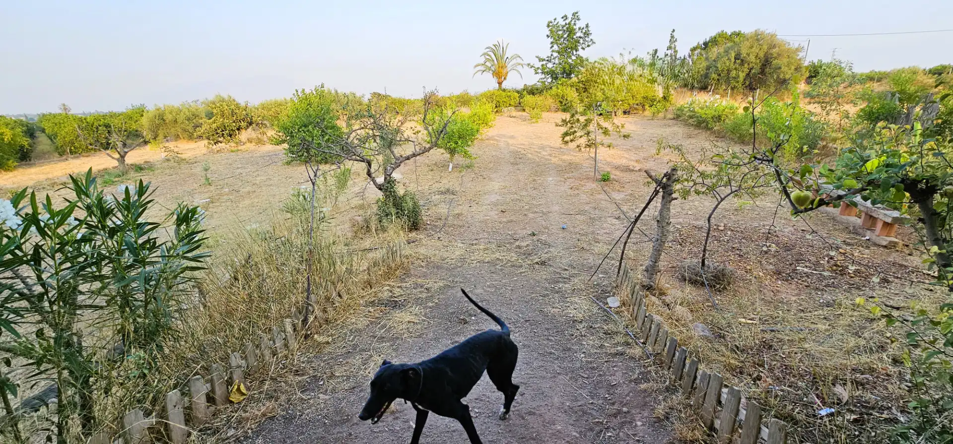 Vista exterior de Casa o xalet en venda en Totana amb Jardí privat, Terrassa i Traster