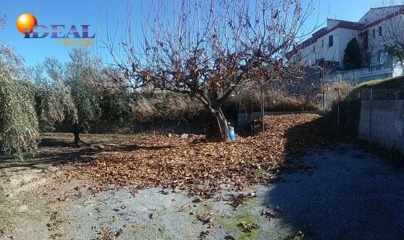 Finca rústica en venta en La Zubia Ciudad