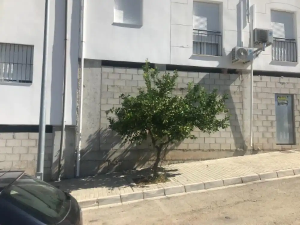 Business premises for sale in Olvera, imagen 5
