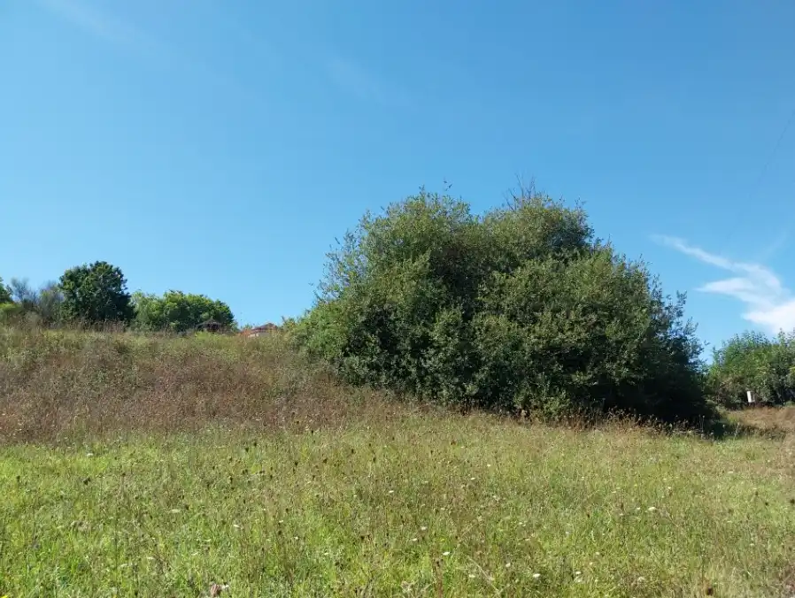 Terrenos y solares en venta en Cotaron, imagen 9