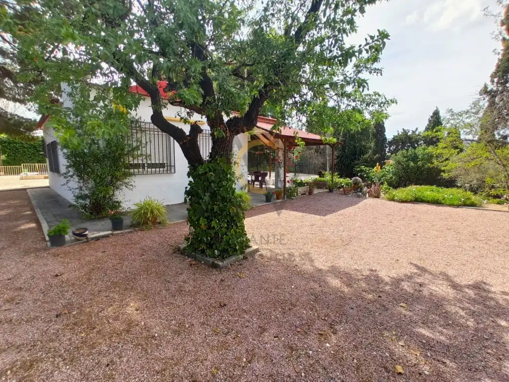 Finca rústica en venta en Calle Puchi, Campo Alto - Club de Campo
