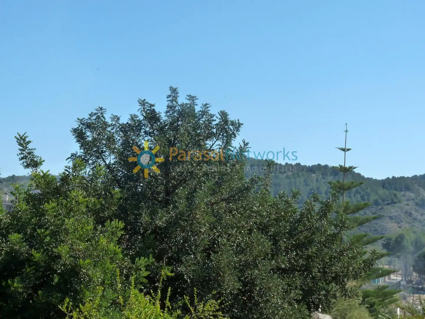 Xalet amb jardí de lloguer a La Font d'en Carròs, imagen 58