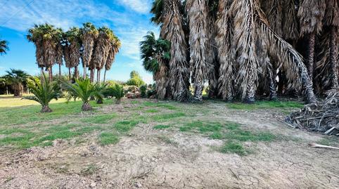 Photo 4 of Land for sale in Les Planes, Barcelona