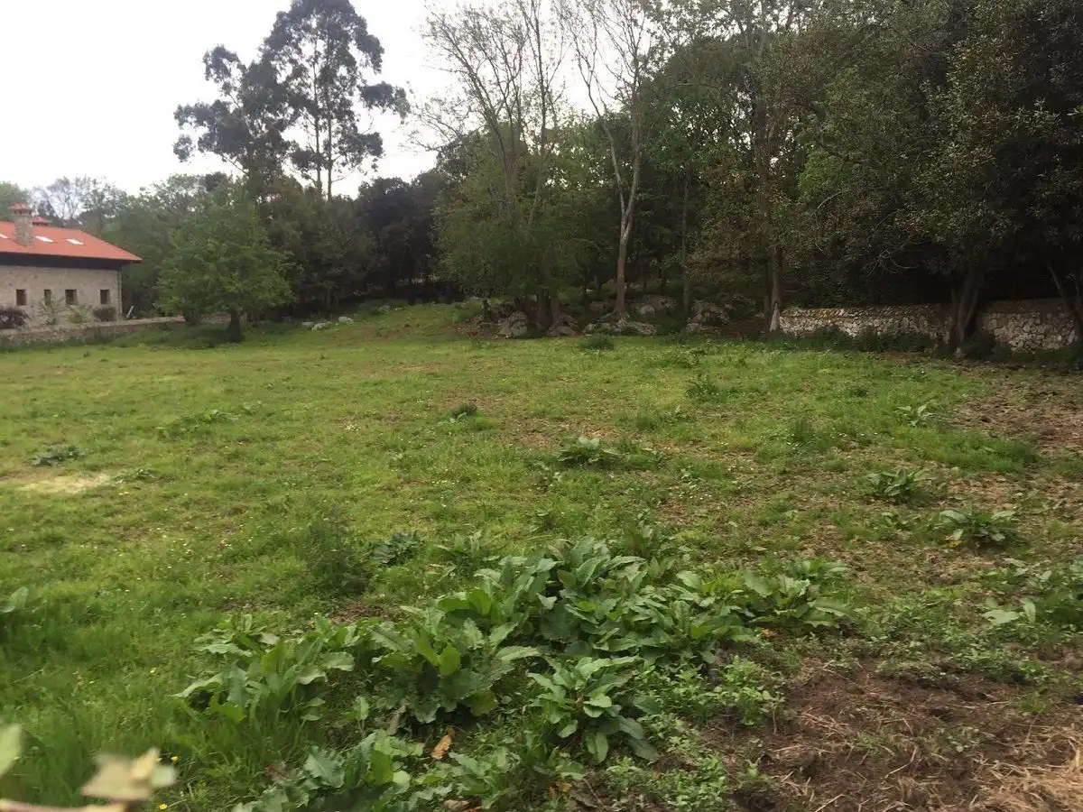Terreno residencial en venta en Bricia, imagen 3