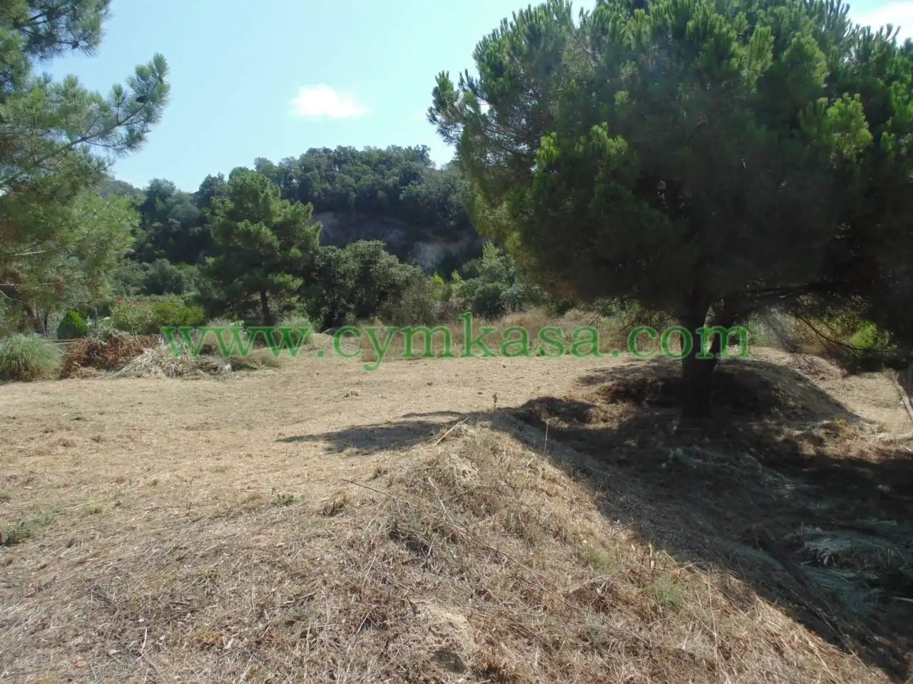 Terreny residencial en venda a Lloret Verd - Els Pinars