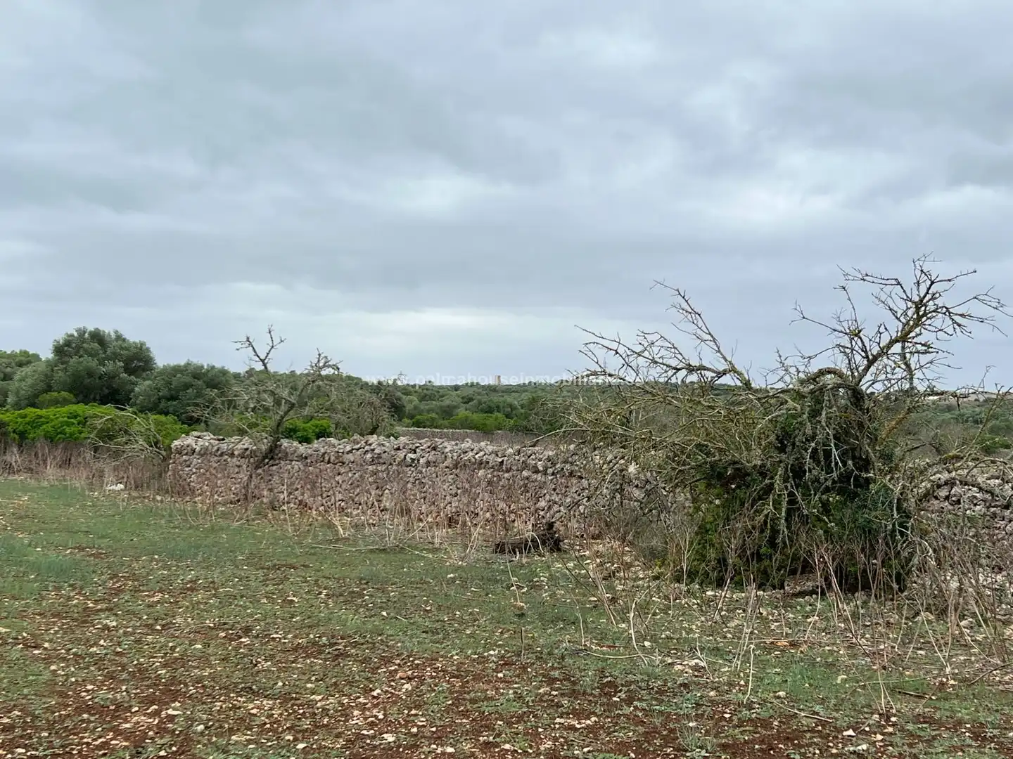 Residencial en venta en Ariany