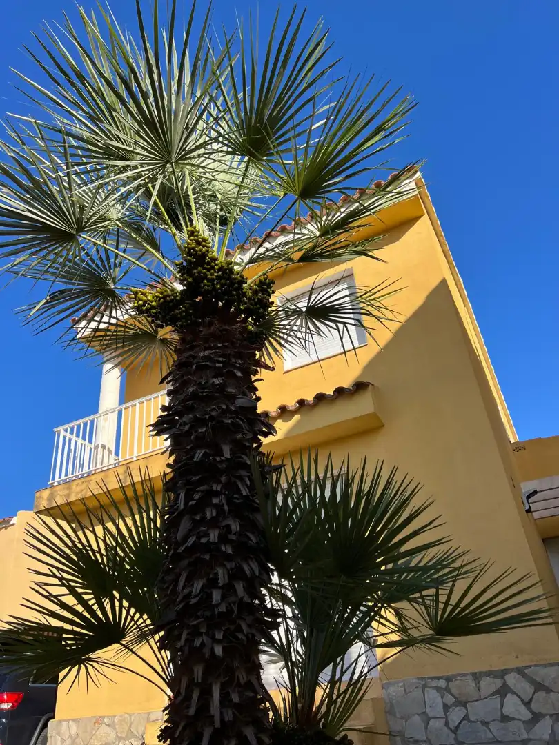 Villa avec terrasse à vendre à Camí de Cervera 156, imagen 4