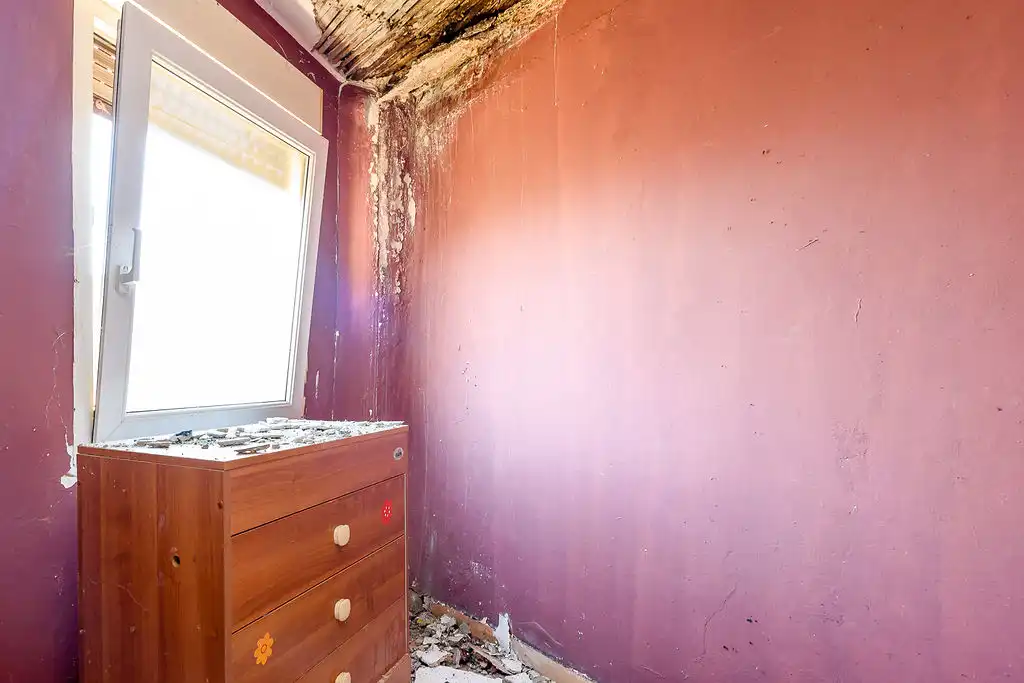 Logement à vendre à Aldea La Vara - Huería de San Tirso, imagen 12