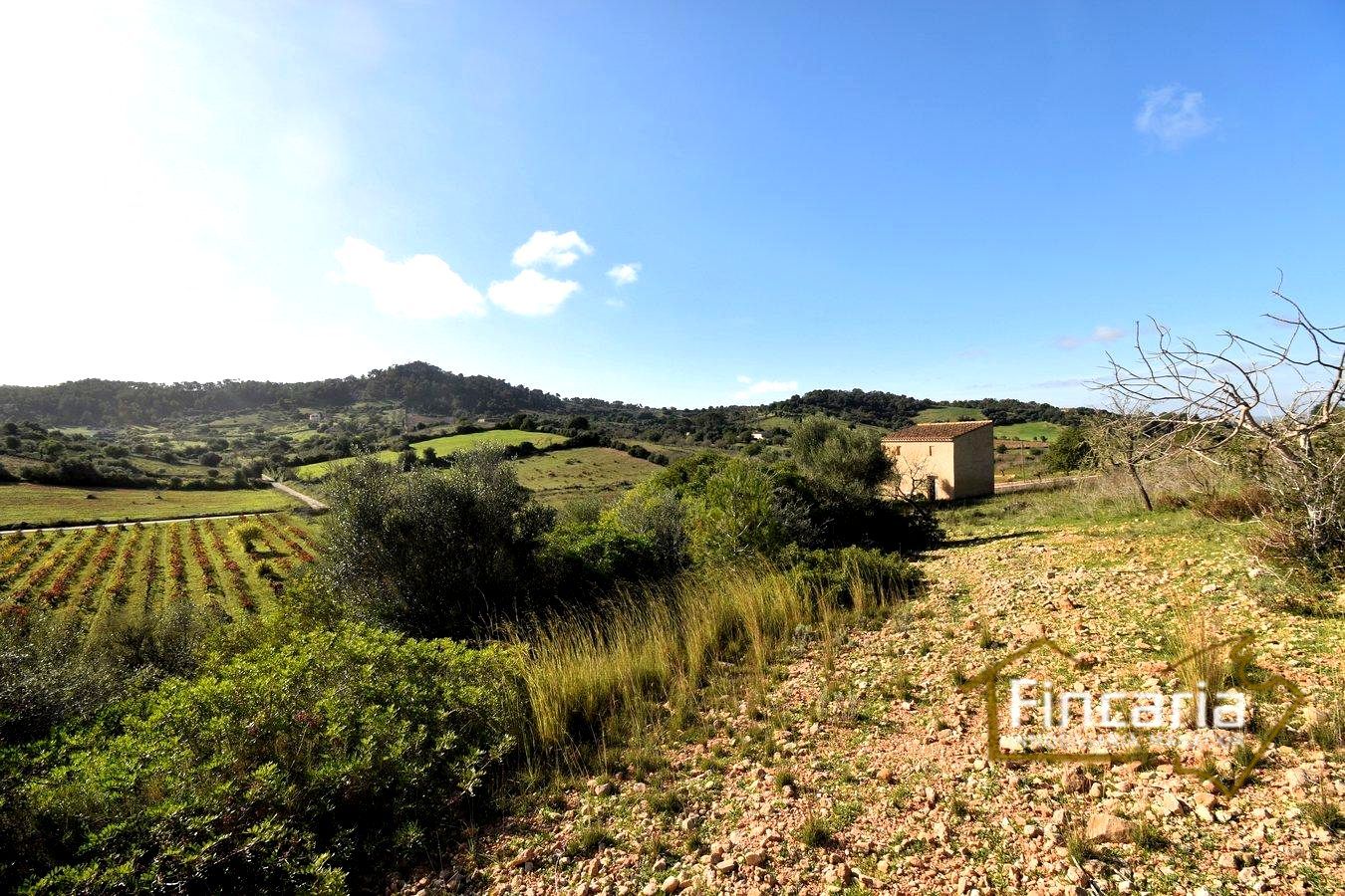 Residencial en venda en Manacor