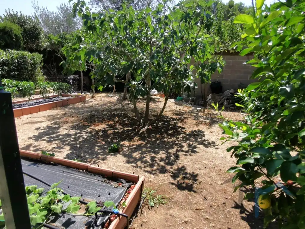 Jardí de Casa o xalet en venda en Cabrera d'Anoia