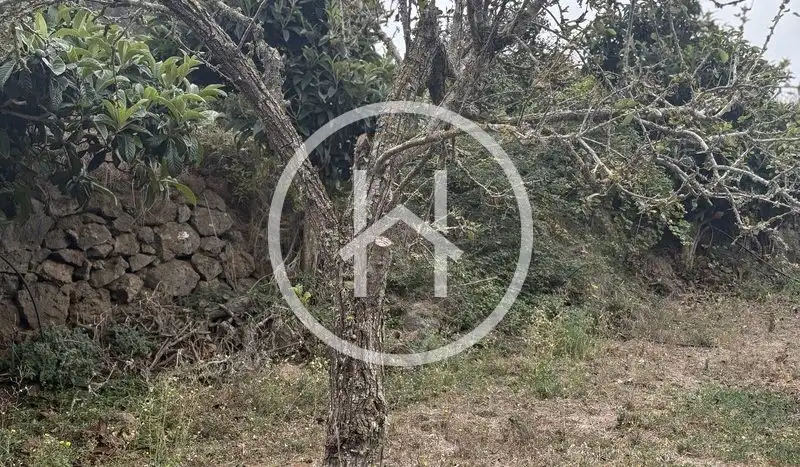 Houses for sale in Tegueste  with Private garden, Terrace and Furnished