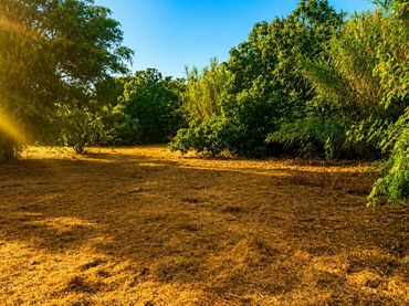 Terreny residencial en venda a La Banda - Campo de Fútbol