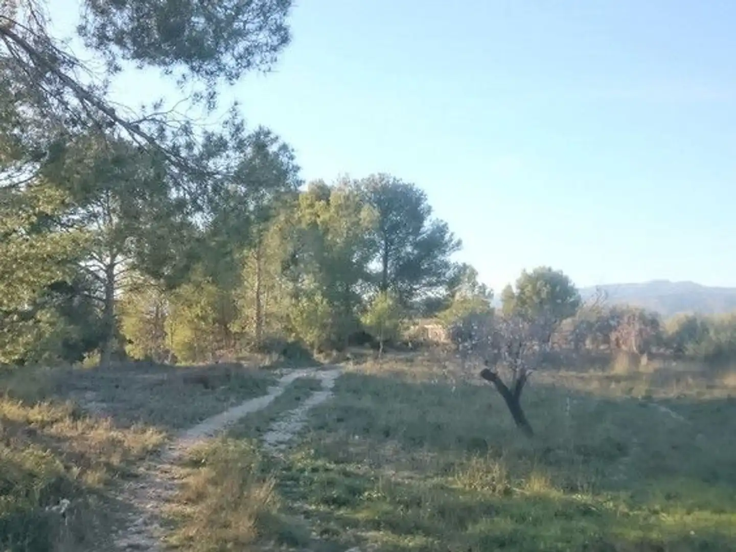 Terreni e lotti in vendita a Moratalla, imagen 3