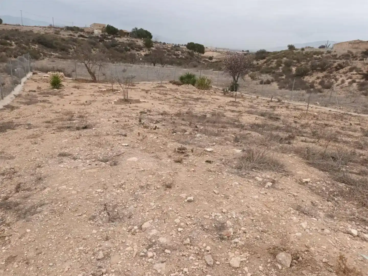 Finca rústica en venda en Totana